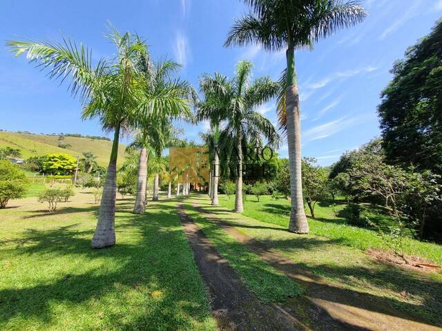 Sítio para Venda em Paraibuna - 4